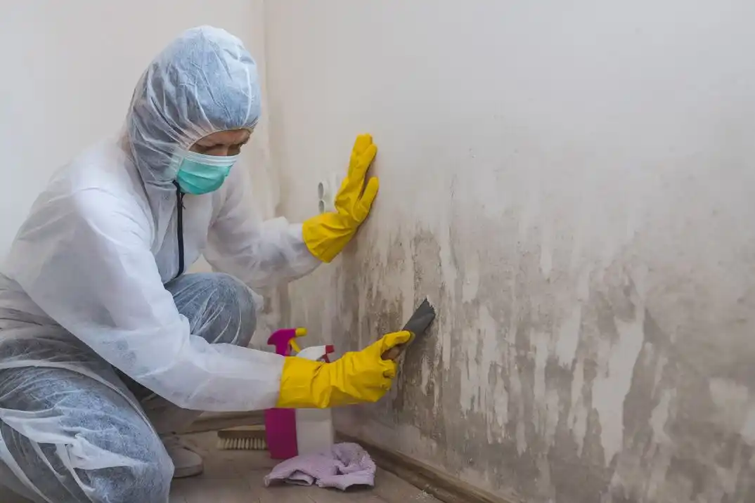 water damage restoration service Avenues West